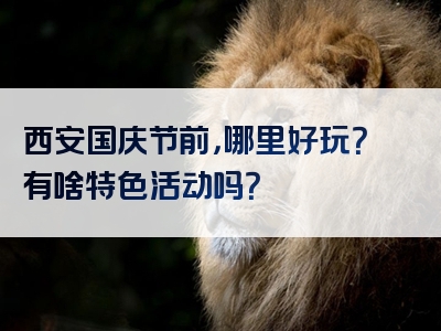 西安国庆节前，哪里好玩？有啥特色活动吗？