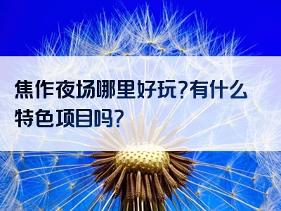 焦作夜场哪里好玩？有什么特色项目吗？