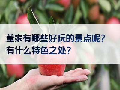 董家有哪些好玩的景点呢？有什么特色之处？