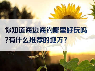 你知道海边海钓哪里好玩吗？有什么推荐的地方？