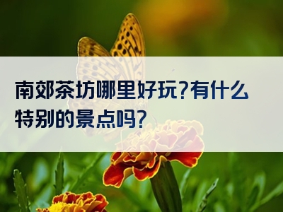 南郊茶坊哪里好玩？有什么特别的景点吗？