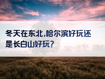 冬天在东北，哈尔滨好玩还是长白山好玩？