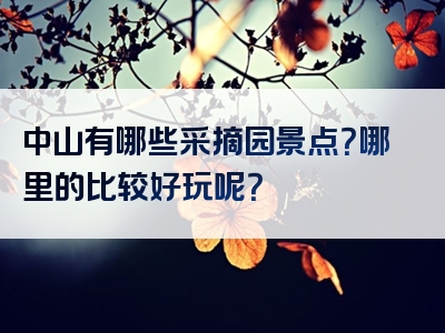 中山有哪些采摘园景点？哪里的比较好玩呢？