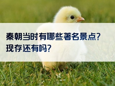 秦朝当时有哪些著名景点？现存还有吗？