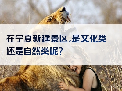 在宁夏新建景区，是文化类还是自然类呢？