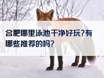 合肥哪里泳池干净好玩？有哪些推荐的吗？