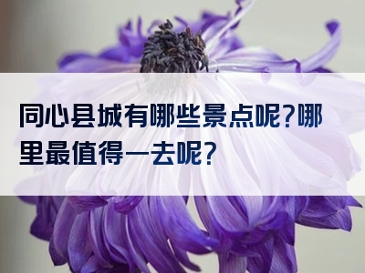 同心县城有哪些景点呢？哪里最值得一去呢？