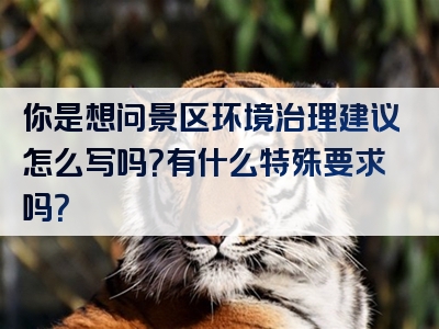 你是想问景区环境治理建议怎么写吗？有什么特殊要求吗？
