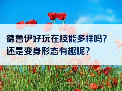 德鲁伊好玩在技能多样吗？还是变身形态有趣呢？