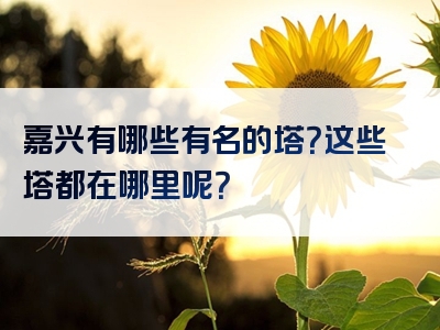 嘉兴有哪些有名的塔？这些塔都在哪里呢？