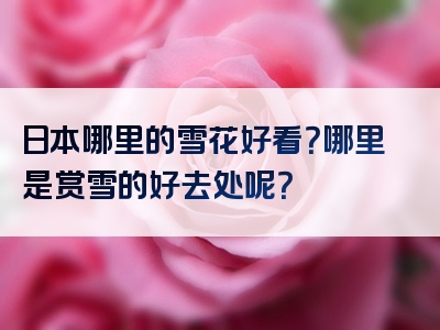 日本哪里的雪花好看？哪里是赏雪的好去处呢？