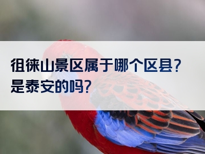 徂徕山景区属于哪个区县？是泰安的吗？