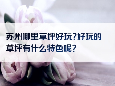 苏州哪里草坪好玩？好玩的草坪有什么特色呢？