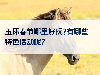 玉环春节哪里好玩？有哪些特色活动呢？