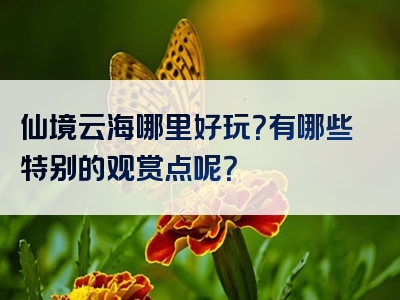 仙境云海哪里好玩？有哪些特别的观赏点呢？