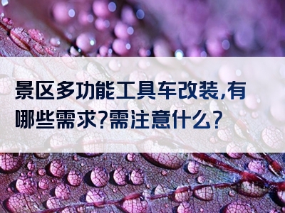景区多功能工具车改装，有哪些需求？需注意什么？