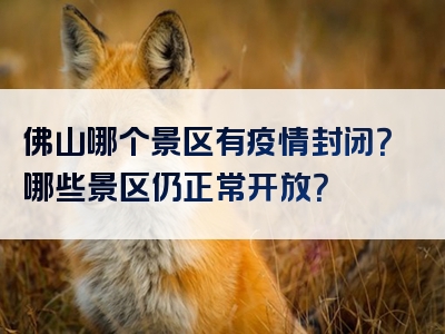 佛山哪个景区有疫情封闭？哪些景区仍正常开放？