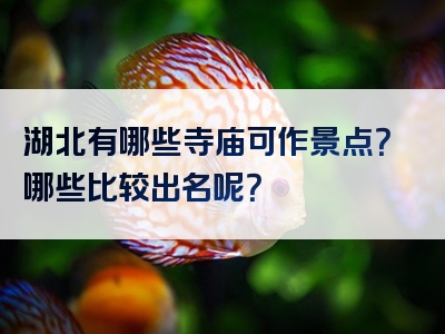 湖北有哪些寺庙可作景点？哪些比较出名呢？