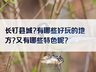 长钉县城？有哪些好玩的地方？又有哪些特色呢？