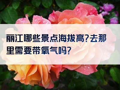 丽江哪些景点海拔高？去那里需要带氧气吗？