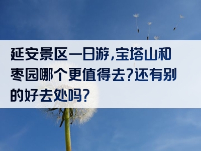 延安景区一日游，宝塔山和枣园哪个更值得去？还有别的好去处吗？