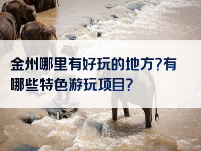 金州哪里有好玩的地方？有哪些特色游玩项目？