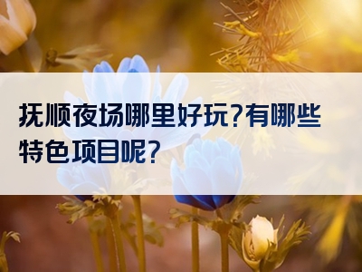 抚顺夜场哪里好玩？有哪些特色项目呢？