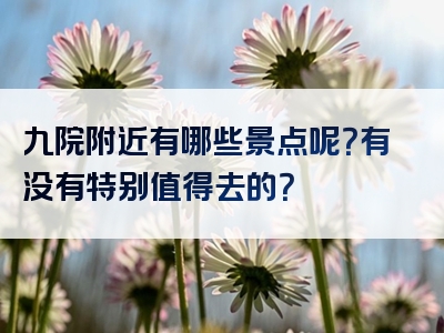 九院附近有哪些景点呢？有没有特别值得去的？