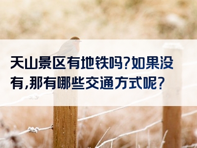 天山景区有地铁吗？如果没有，那有哪些交通方式呢？