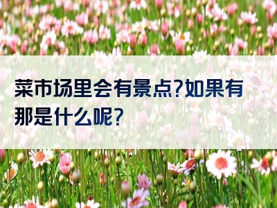 菜市场里会有景点？如果有那是什么呢？