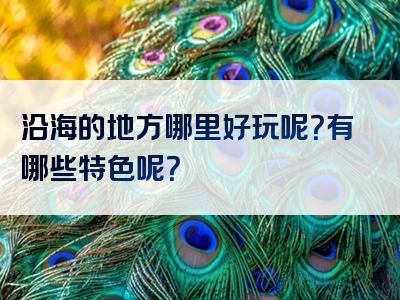 沿海的地方哪里好玩呢？有哪些特色呢？