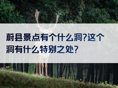 蔚县景点有个什么洞？这个洞有什么特别之处？