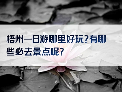 梧州一日游哪里好玩？有哪些必去景点呢？