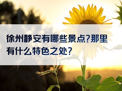 徐州静安有哪些景点？那里有什么特色之处？