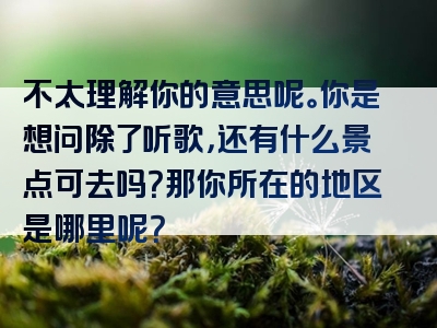 不太理解你的意思呢。你是想问除了听歌，还有什么景点可去吗？那你所在的地区是哪里呢？