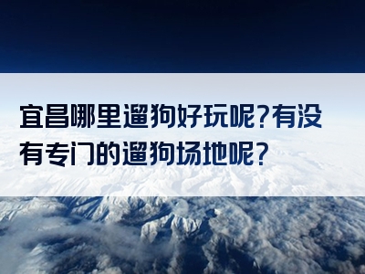 宜昌哪里遛狗好玩呢？有没有专门的遛狗场地呢？