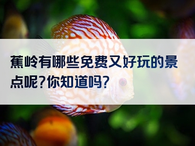 蕉岭有哪些免费又好玩的景点呢？你知道吗？