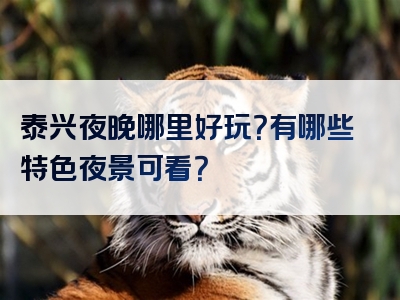 泰兴夜晚哪里好玩？有哪些特色夜景可看？