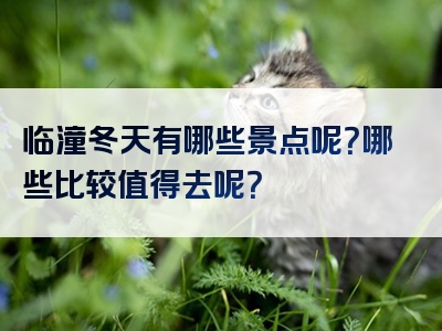 临潼冬天有哪些景点呢？哪些比较值得去呢？