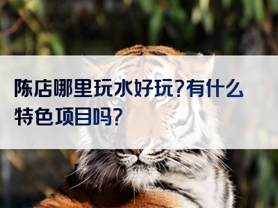 陈店哪里玩水好玩？有什么特色项目吗？
