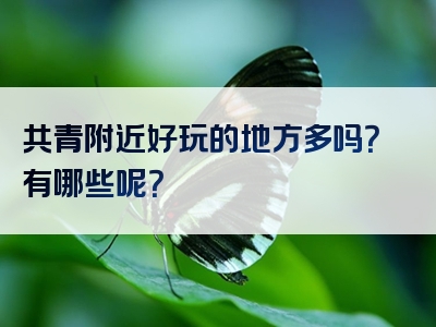 共青附近好玩的地方多吗？有哪些呢？