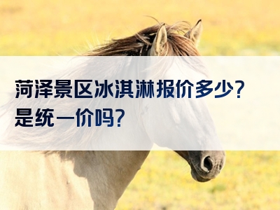菏泽景区冰淇淋报价多少？是统一价吗？