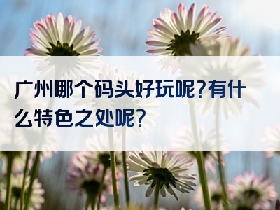 广州哪个码头好玩呢？有什么特色之处呢？