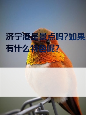 济宁港是景点吗？如果是，有什么特色呢？