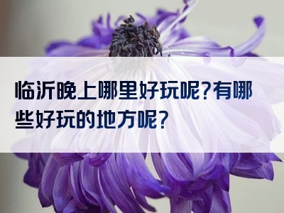 临沂晚上哪里好玩呢？有哪些好玩的地方呢？