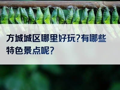 方城城区哪里好玩？有哪些特色景点呢？