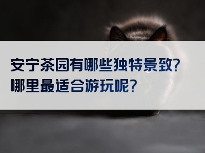 安宁茶园有哪些独特景致？哪里最适合游玩呢？
