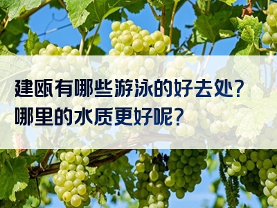 建瓯有哪些游泳的好去处？哪里的水质更好呢？