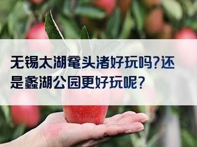 无锡太湖鼋头渚好玩吗？还是蠡湖公园更好玩呢？