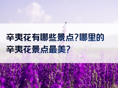 辛夷花有哪些景点？哪里的辛夷花景点最美？